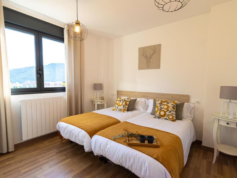 Mi Trocito De Sabinanigo, Wifi, Parking, Terraza Apartman Kültér fotó